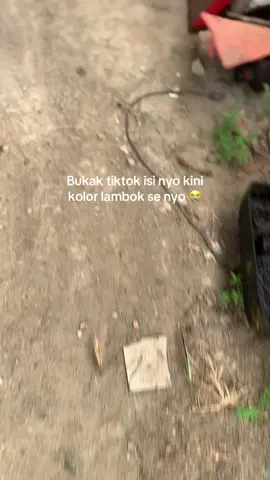Lengah dikit kolor lambok 😭