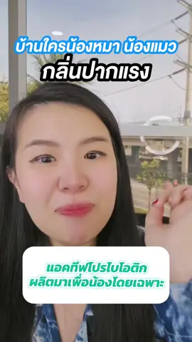 #สัตว์เลี้ยงtiktok #ทาสแมว #หมาน่ารัก #แมว #หมา 