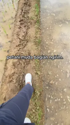 tani abizzz #petanimuda #foryoupage 