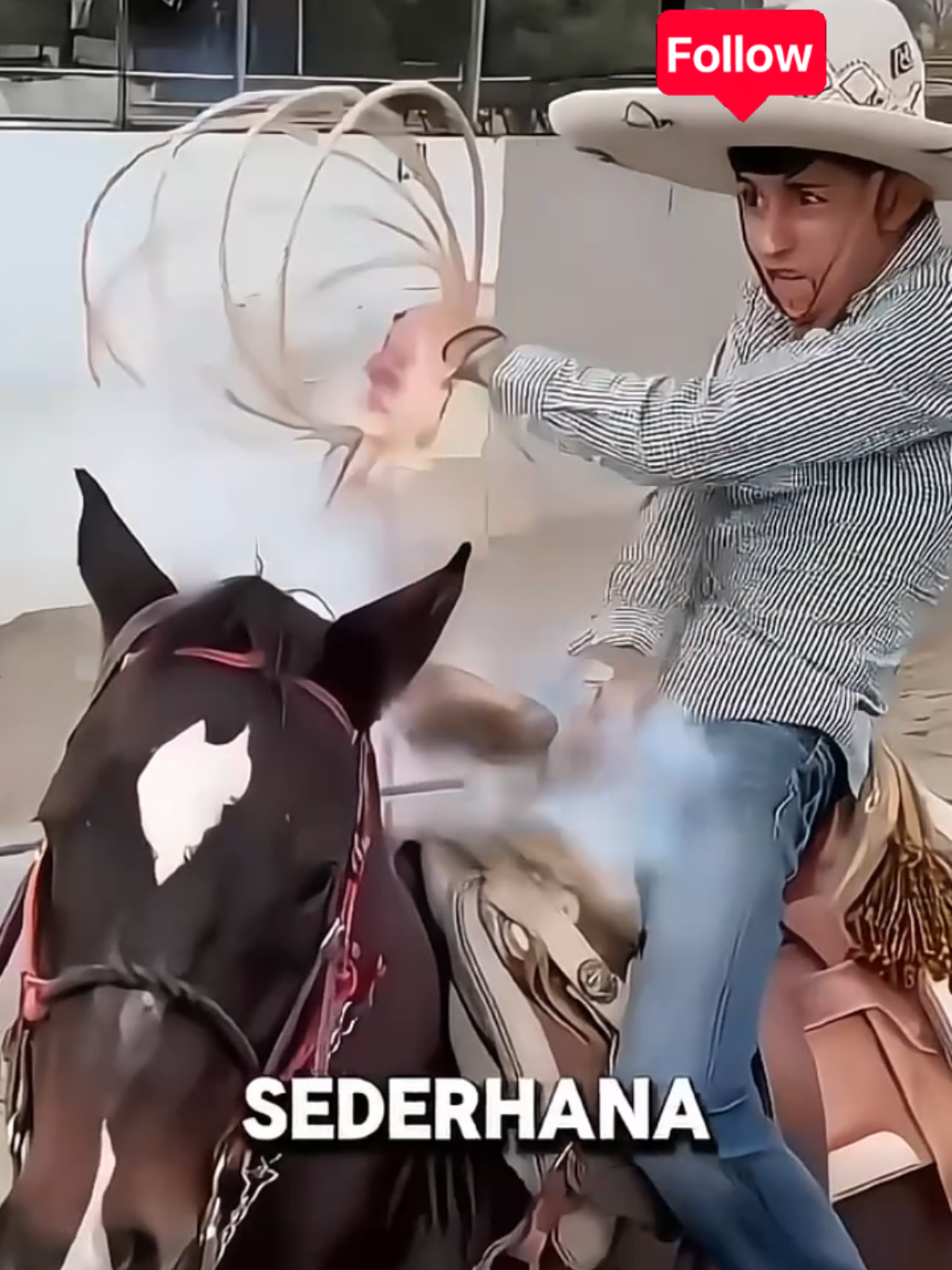 Fakta unik koboy #fyp #faktaunik #masukberanda #kamuharustau #kuda 