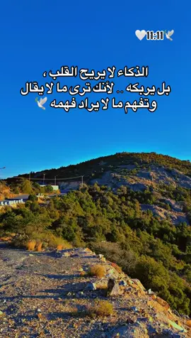 الذكاء لا يريح القلب .. 🥹🕊️🕊️🕊️🕊️🕊️🕊️ #🌹🌹🌹🌹🌹🌹🌹🌹🌹🌹🌹🌹 #الحب #حبيبي #احبكم  #المشكى_على_الله                                         