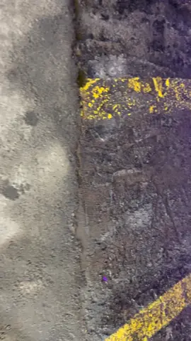 فتنه فتنه ماشاءالله #ماشاءالله_تبارك_الله_اذكروا_الله #yyyyyyyyyyyyyyyyyy #دوج_تشارجر #SRT #هيلكات 