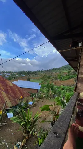 Katu katu 😹😹😹