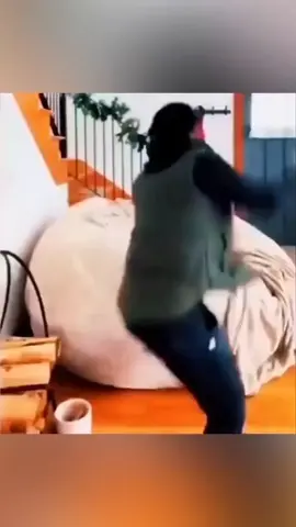 funny animals video #shortvideo #short #funnyvideos #foryou #doglover 