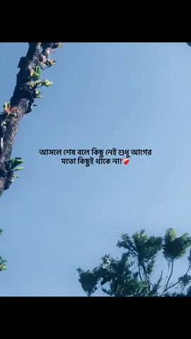 😅💔 #foryou #banglacaption #sadcaption #emotionalvideo #fyp 