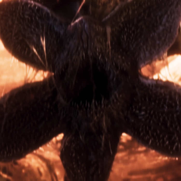 Chapter Two The Vanishing Of #strangerthingss5 #fyp #strangerthingsedit #aestheticedit 