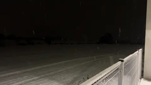 типо лондон