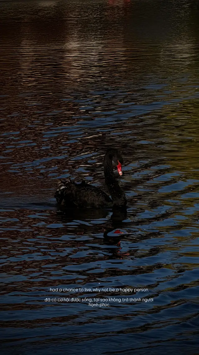 Had a chance to live, why not be a happy person...