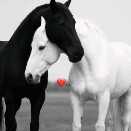 #CapCut #😭😭😭 #fuoryou #fpyyyyyyyyyyyyyyyyyyyyyy #fypシ゚ 