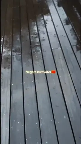 Negara kultivator ya di china 🇨🇳 #wanglin #donghua #renegadeimmortal @FansWangaLin 