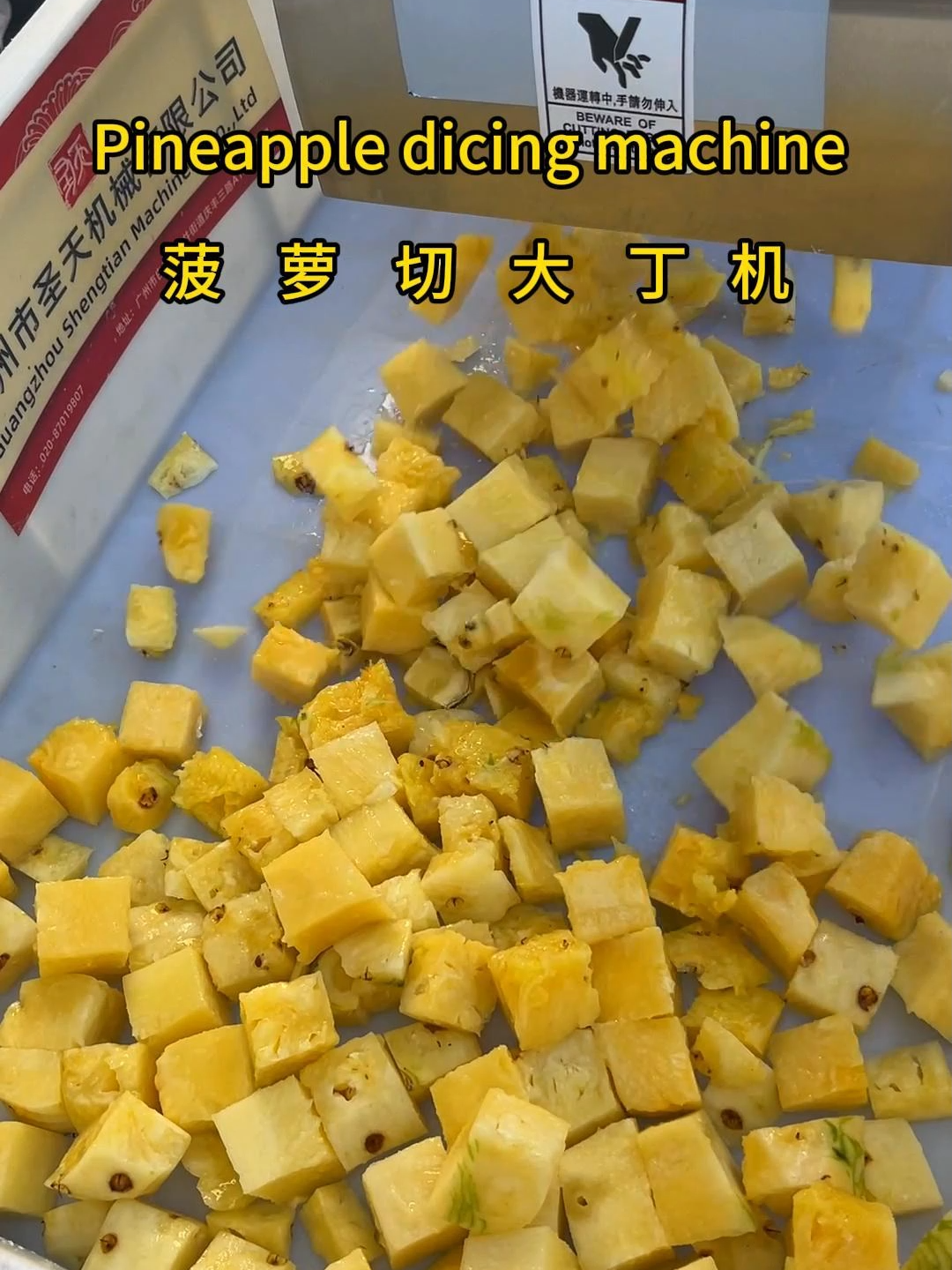 Pineapple dicing machine Pumpkin dicing machine Fruit and vegetable dicing machine #pumpkin #vegetables #dicing #cutter #vegetablecutter #cuttingmachine