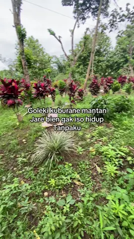 #malang #jowopride #malang24jam 