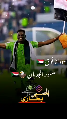 سودانا فوق 🇸🇩 #الشعب_الصيني_ماله_حل😂😂 #duet #duet #viral #flypシ 