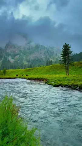 difficult roads lead to beautiful destinations 🏔️✨❣️#foryoupagе #viralvideo #mountain #skarduvalley #standwithkashmir 