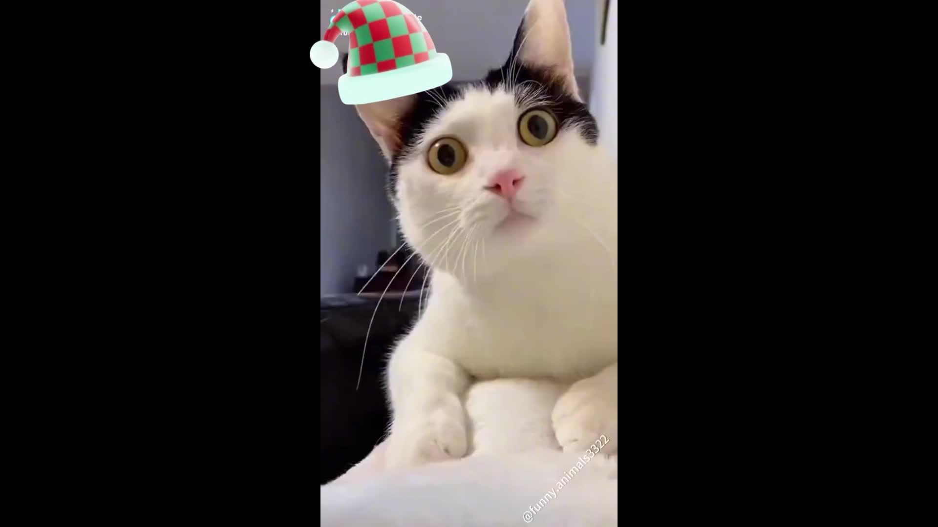 The best camping gift #onepotmeals #healthycooking #campingwithkids #cookingtools #easycrockpotmeals #blackstonegriddlecooking #blackstonecooking #cooker #kitchencooking #simplemealprep #camping #blackfriday #cyber #monday #cookware #pot #pan #kettle #fyp #gift #bigdeal #discount