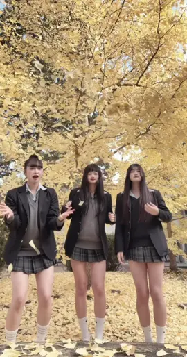 西浜の紅葉もちょーきれいだよ🍁💛#08 #神奈川 #おすすめ #fyp #運営さん大好き 