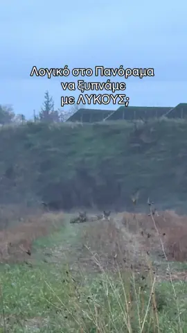 Το τραγούδι μπήκε μόνο του αλλά έτσι νιώθω !! 