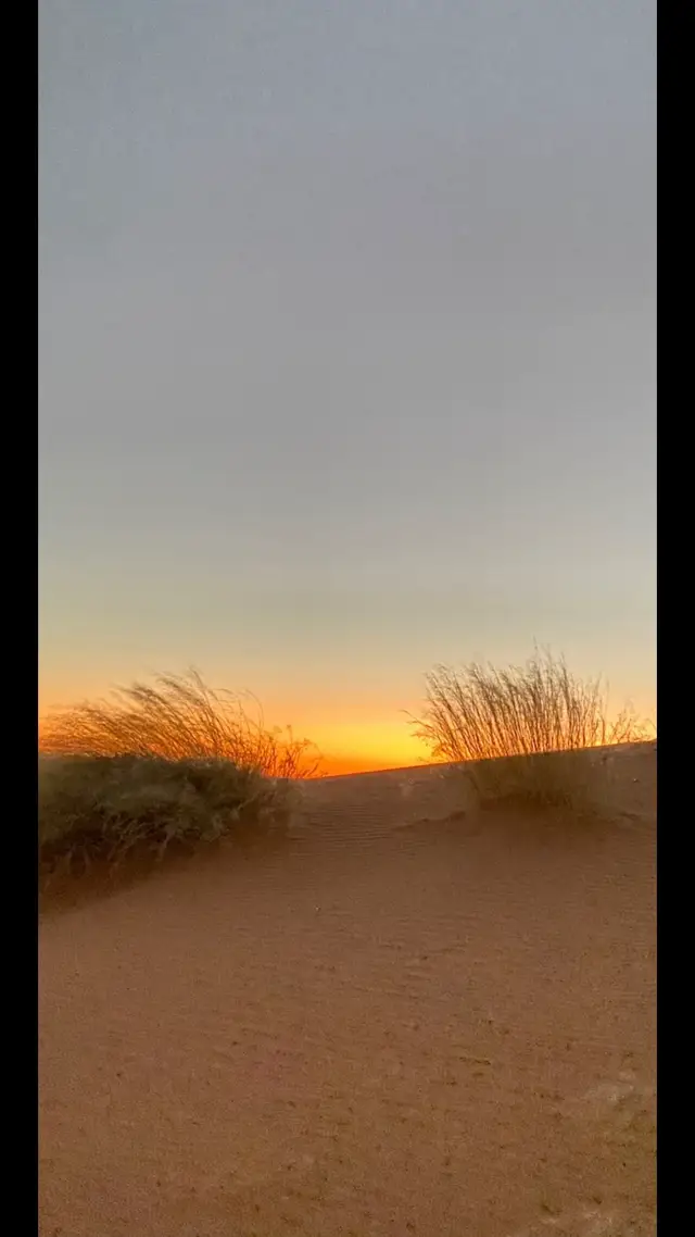 #اكسبلورexplore_ #اكسبلور #you 