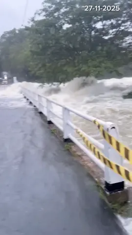 දවස් 03ක් තිස්සේ නොනවතින වැස්ස 🌧️🥺 #flood #weather #srilanka #monsoon #rain #badweather #heavyrain #foryoupage 