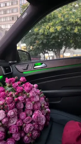 любимое видео🥹