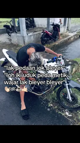 eaaaa#tiger #walisongoofficial #trend #fyppppppppppppppppppppppp #masukberanda 