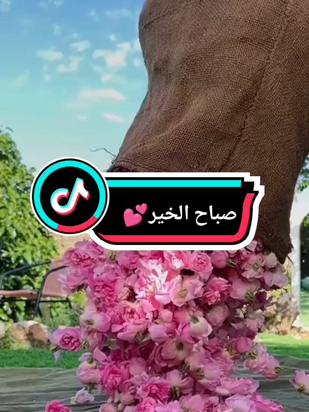 #صباح_الخير #اكسبلور #fyp #foryoupage❤️❤️ #viral 