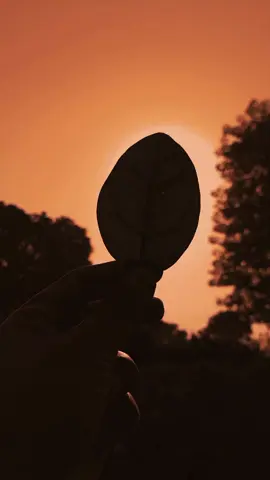 کبھی کبھی انسان خود سے ہی بچھڑ جاتا ہے اور پھر واپس لوٹنے کی کوئی جگہ نہیں رہتی۔🖤🥀#aesthetic #viralvideo #foryoupage #foryou #viral 