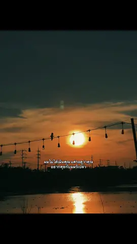 🤷🏻‍♂️ #เธรด #เธรดความรู้สึก #เธรดข้อความ #fyp #ขึ้นฟีดหน่อยเถอะ🥺❤️ 