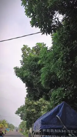 #CapCut #modigikasigranmax #firaltiktok🔥🔥🔥✌️ #fyp #fyp 