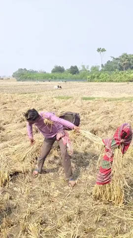 ভাইরাল গান  #🥀 #foryou #tiktok 