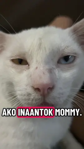 Gising na gising #fyp 