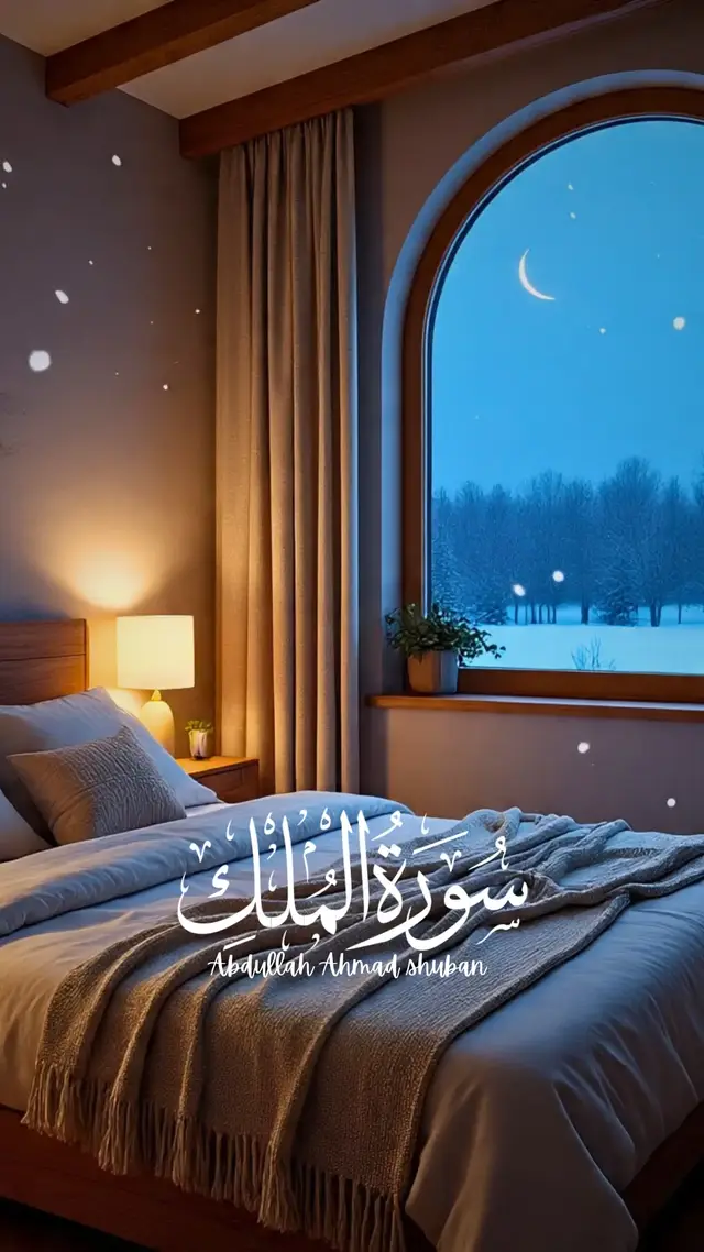 #surahalmulk #سورۃ_الملک  #beautifulquranrecitation  #hearttouching  #fypシ゚viral🖤tiktok☆♡🦋myvideo