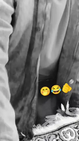 واحد يحب يتعارك انا اتعارك 😂