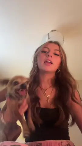 Tiny Dog, BIG Attitude! When Chihuahuas Get Mad 😤#chihuahua #angry #dogvideos #dogsoftiktok #funnydog 