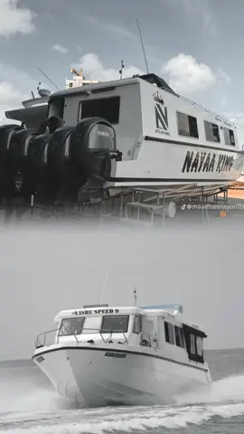 what is best tell me on dha comment shaction 