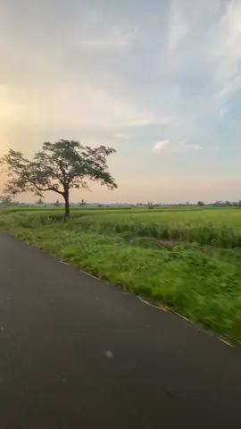 adem ayem tenttremmm😇😇 #abcxy#gambus#foryoupage #vibessorehari🌹 #