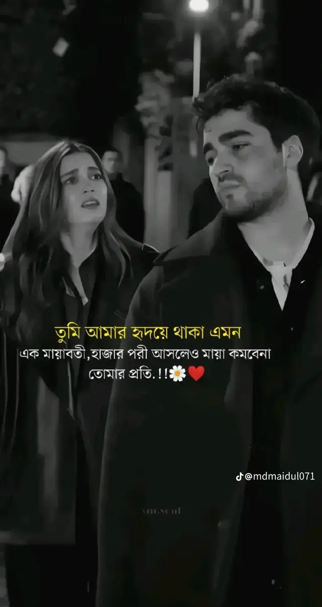~তুমি আমার হৃদয়ে থাকা এমন এক মায়াবতী হাজার পরী আসলেও মায়া কমবে না তোমার প্রতি..!!🌸❤️
