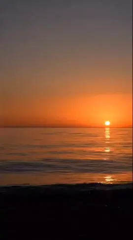 #bibleverse#john316✝️#jesusisgod#gospel#bible 