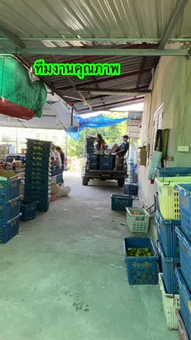 #รับออเดอร์เก็บทุกวันค่ะ #วันทำงาน #เปิดการมองเห็น #สนุกดี 