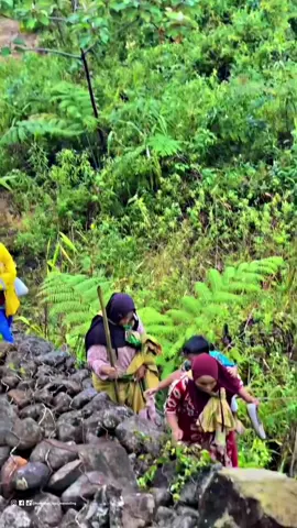 Evakuasi korban banjir di tapsel #kumpulanlagumandailing #prayfortapsel #tabagsel @Tapanuli Bagian Selatan 
