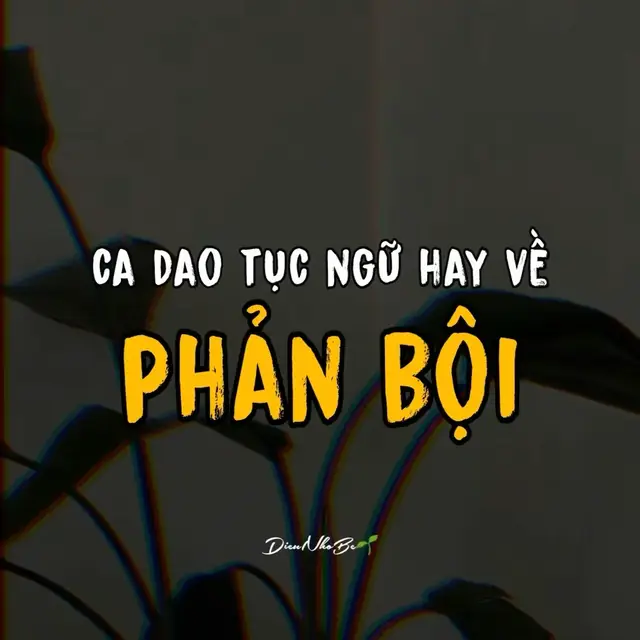 #cadaotucnguvietnam #xuhuong 