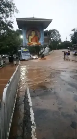 kandy Flood  #fypシ゚ #fypシ゚viral #trending #creatorsearchinsights #kandy 