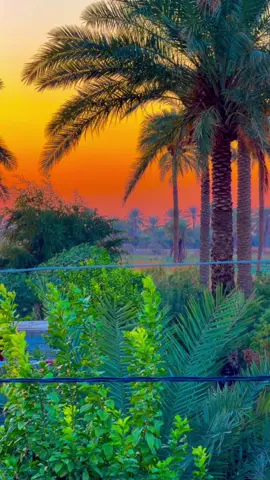 غميجه السالفه المهضوم راعيهة 💔#عبدلله_الشاوي #عبارات #عباراتكم_الفخمه📿📌 #الفديو_موجود_بقناتي_تلكرام_بلبايو🦋💘 