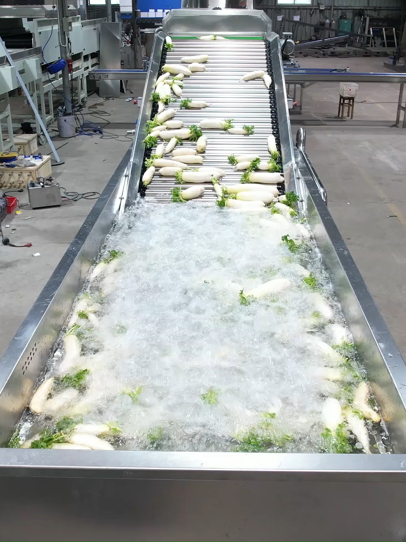 One Line, Three Ways to Perfect Radishes! 🌟 Wash & Dry - Get spotless, market-ready radishes in one go! AI Optical Sorter - Detect defects & sort by color/size automatically Roller Grader - High-speed size grading for wholesale volumeChoose your perfect solution!  😊Get Price: media@fruitprocess.com 👉Learn more :https://www.fstsortmachine.com ; :https://fruitprocess.com  #RadishProcessing #RadishWashing #RadishCleaning #RadishDrying #RadishOpticalSorter #RadishRollerGrader #RadishAiSorter #RadishSmartSorter #VegetableSorting #FoodTech #Fstsort