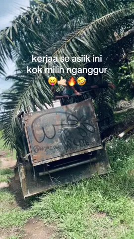 masih seputar angguk angguk🤙🏻🔥#langsirsawit #sawitontiktok 