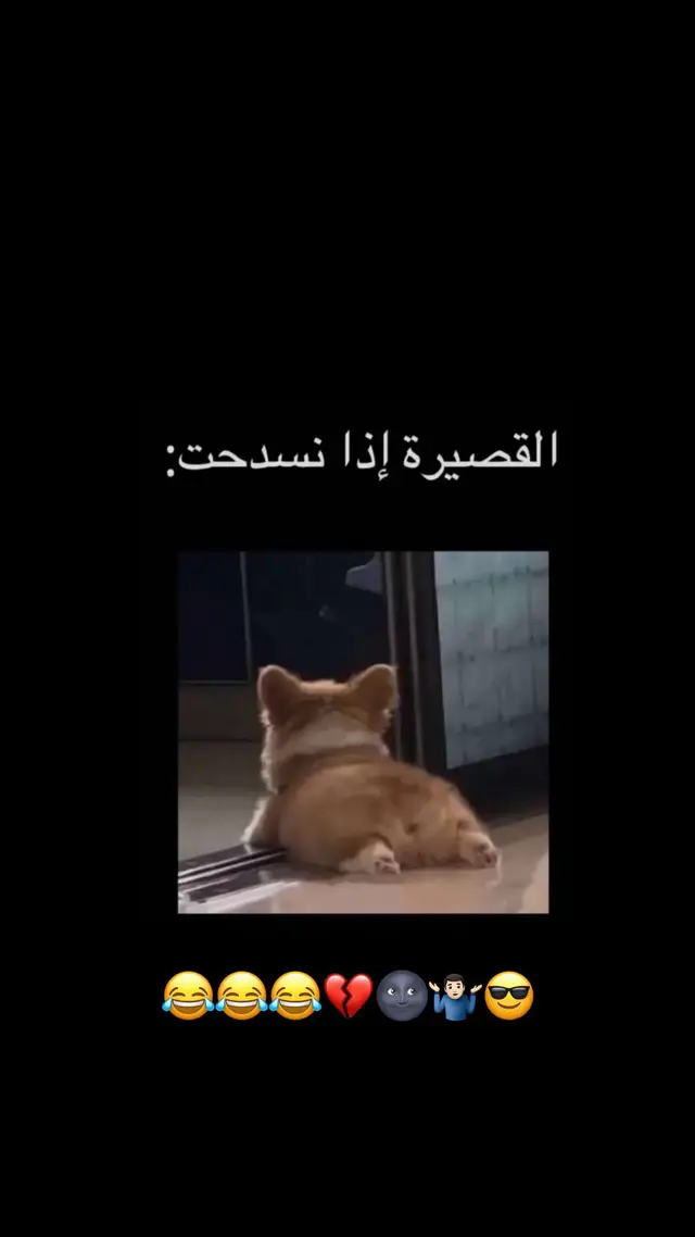 😂😂😂🫣🙄🥰😎💔🤦🏻