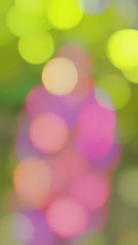 তোমাকে ভুলে যাওয়ার ক্ষমতা নেই,,@Antu  ❤️‍🩹❤️‍🩹🫀🫀🫶#fyyyyyyyyyyyyyyyy #fyp #foryou #unfrezzmyaccount #tiktokment 