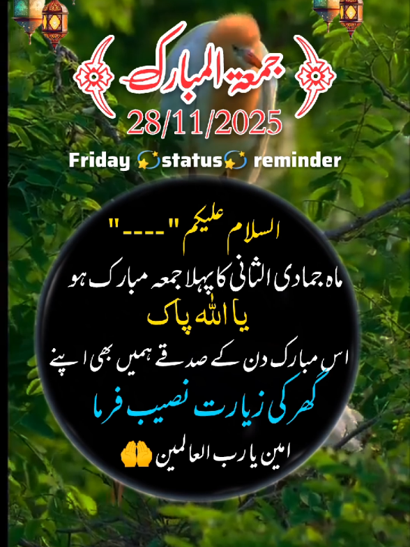 28-Nov-2025) WEDNESDAY MORNING💫 STATUS 💫 NOTIFICATION 🔔 REMINDER  #deartiktokteamdontunderviewmyvideos #status #viral #100klikes #1billionauidition 