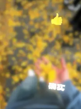 雙魚座 立最渣的人設 守最正的三觀 #雙魚集合  #出生2月19至3月20  #tiktok  #熱門  #推薦 