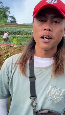 Jadi tenangna lalaki mah mun nu di imah ges teu loba pamenta kakara tenang @Acung Bergetarツ #petaniindonesia🇮🇩🇮🇩🇮🇩🌿🌿 #kulipanggul #bawangdaun #bergetar #fyp 